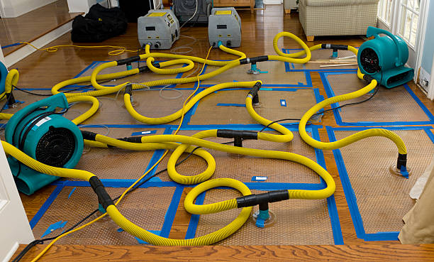Professional Crawl Space Water Removal technician working in Janesville, MN